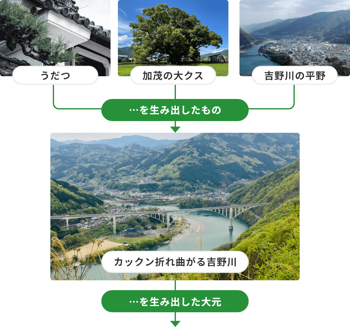 うだつ、加茂の大クス、吉野川の平野 …を生み出したもの カックン折れ曲がる吉野川 …を生み出した大元